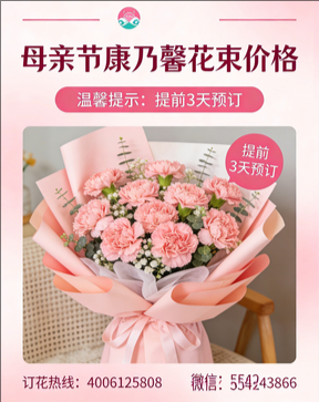 楚雄禄丰市花店母亲节康乃馨花束