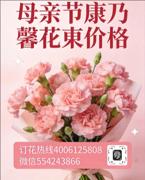 楚雄禄丰市花店母亲节康乃馨花束